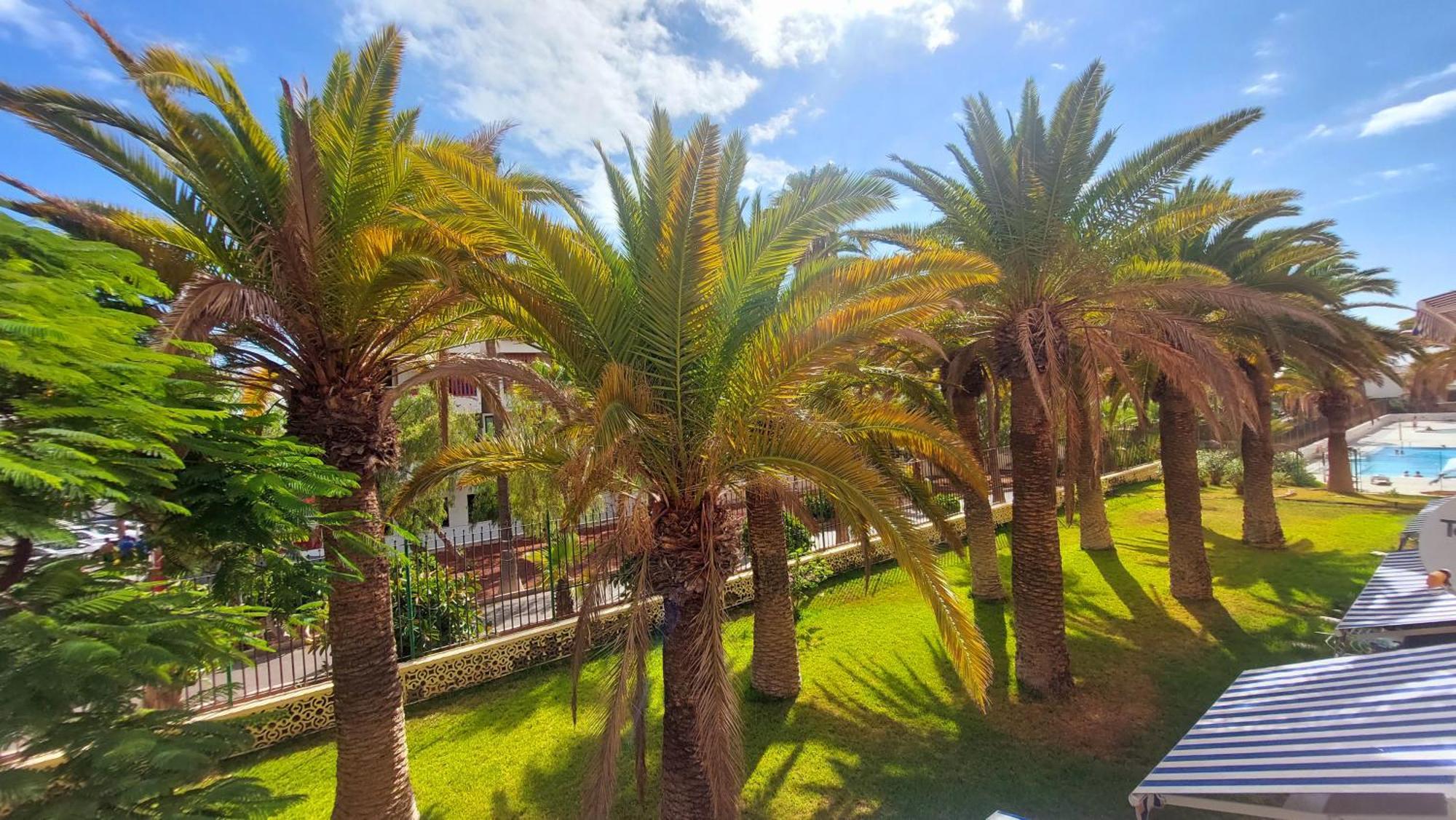 Apartamento Margarita Con Piscina En Playa Honda, Playa Las Americas Arona (Tenerife) Exterior foto